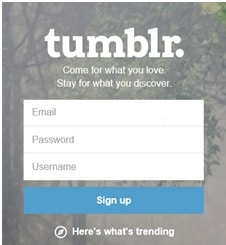 create-new-tumblr-account-step2