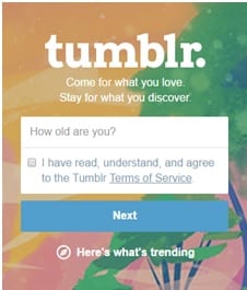 create-new-tumblr-account-step3